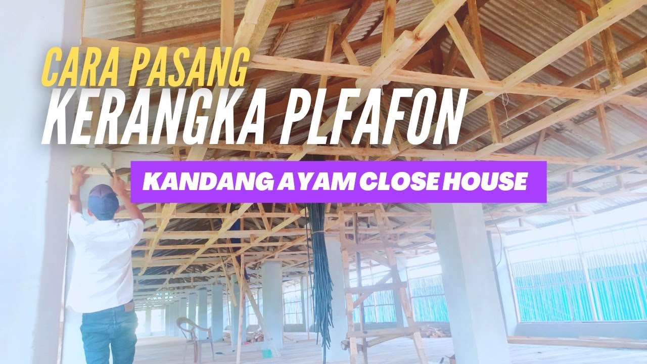 Membuat kandang ayam broiler close house - Pemasangan kerangka plafon full kayu