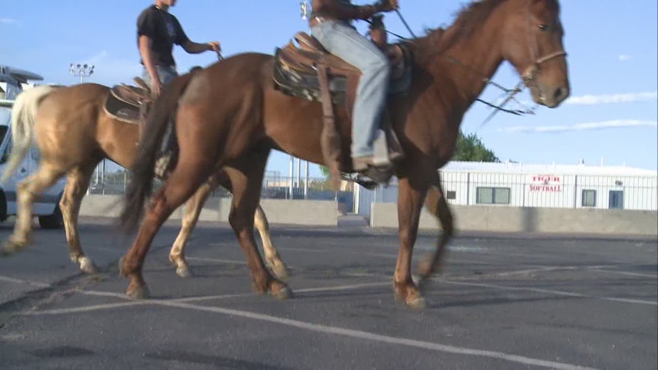 Students suspended after riding horses to school