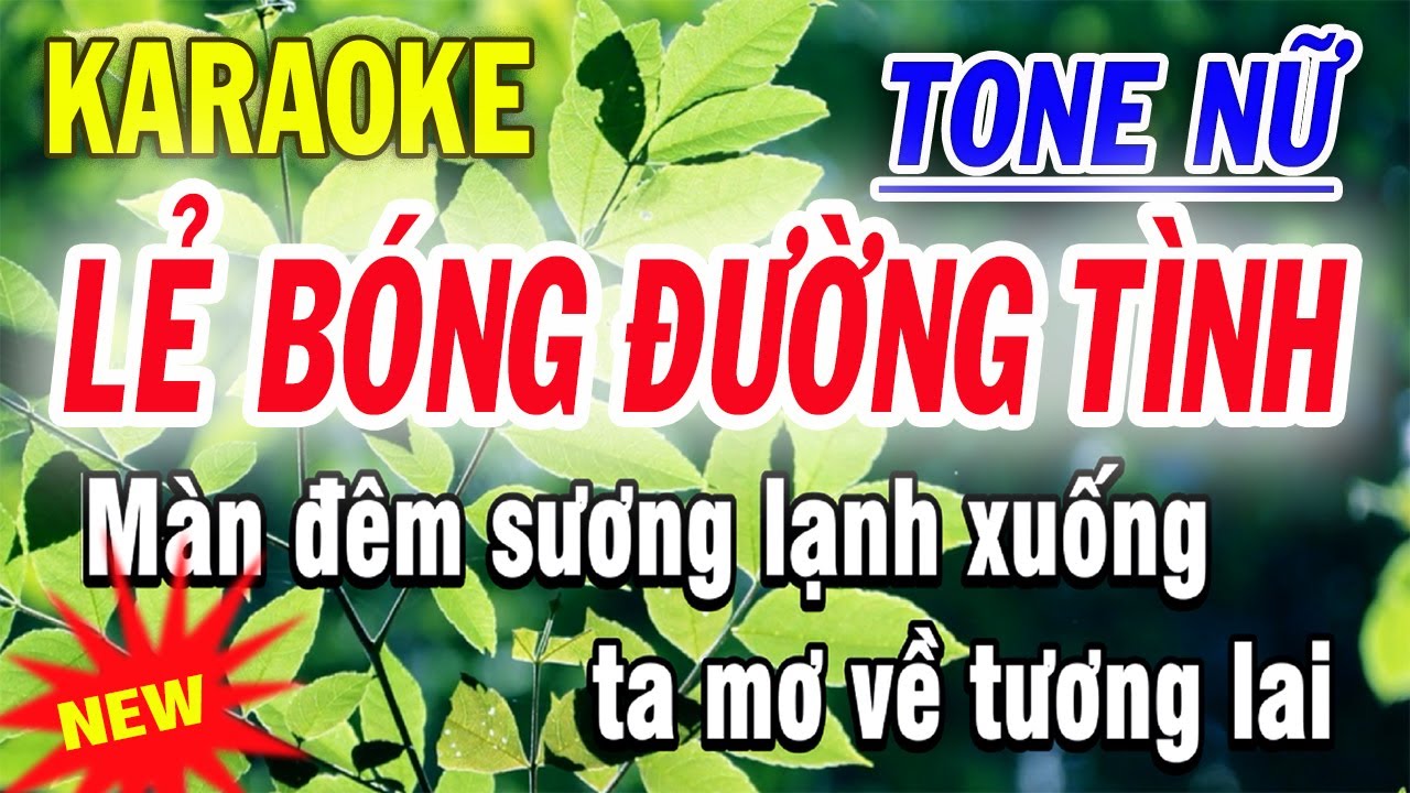 Lẻ Bóng Đường Tình Karaoke Tone Nữ - ST Duy Khương