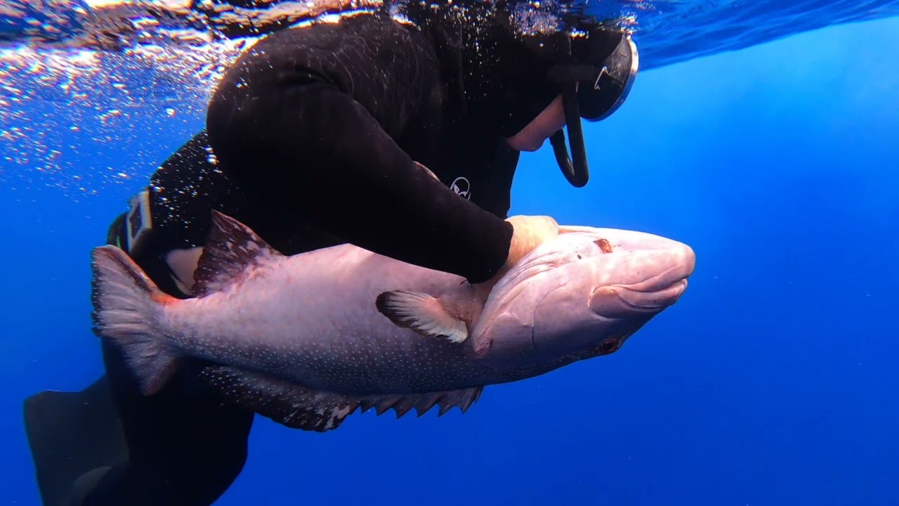 P&ecirc;che en profondeur TUBUAI 2022 - Billy TUPEA