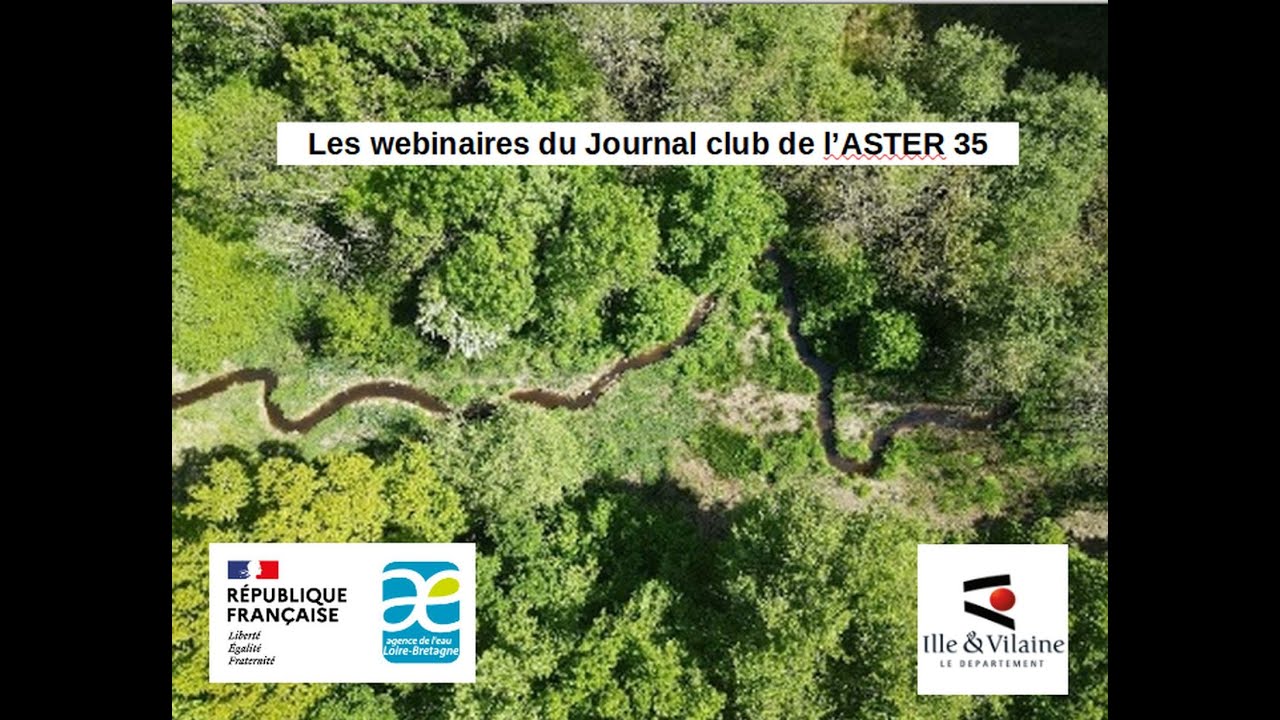 Journal club n°6 – Bois en rivière