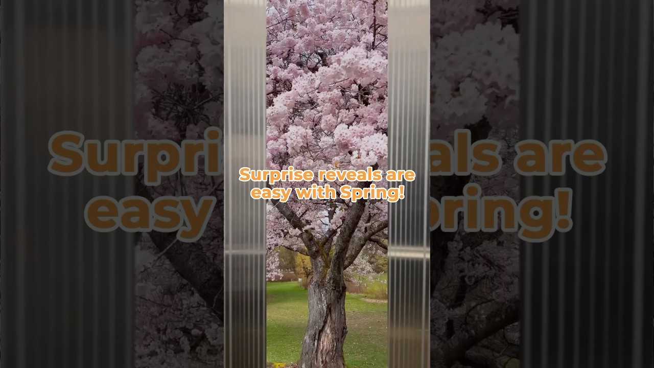 Update Spring Now and Try This Awesome Reveal Effect! #springvideoapp