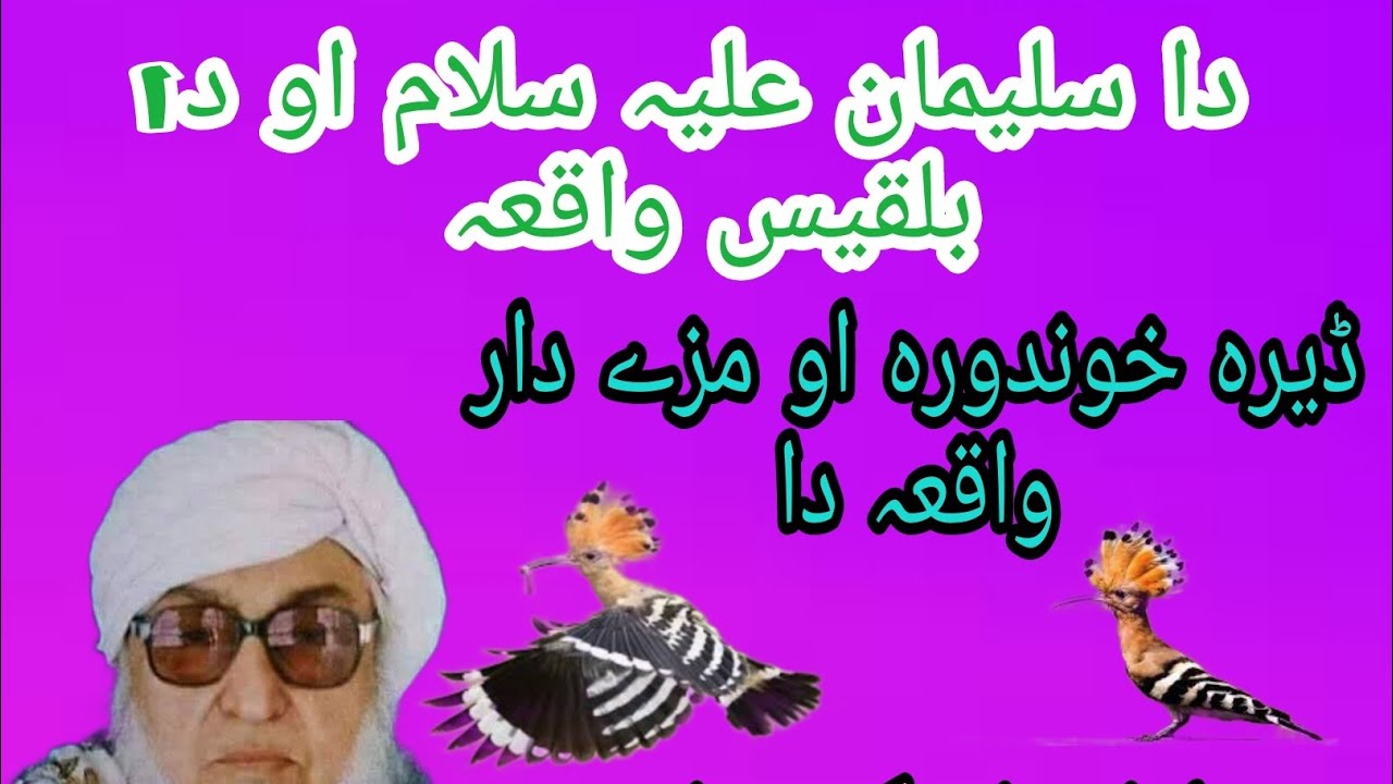 دہ سلیمان علیہ السلام او دہ بلقیس  واقعہ #viralvideo #beautiful #peshawar#foryou  #pakistan