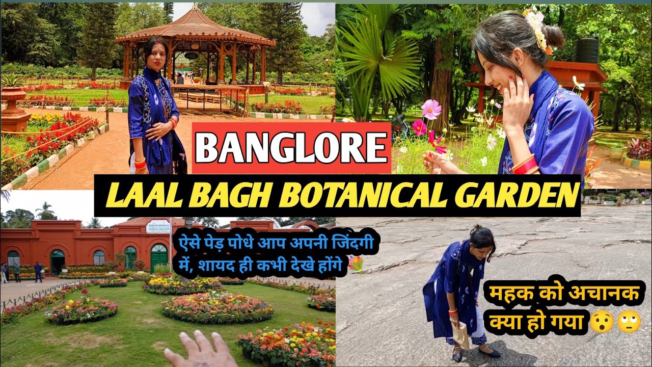 BANGLORE LAL BAGH BOTANICAL GARDEN 🏡|| ऐसे पेड़ पोधे आपने अपनी जिंदगी में, शायद ही कभी देखे होंगे 💐|
