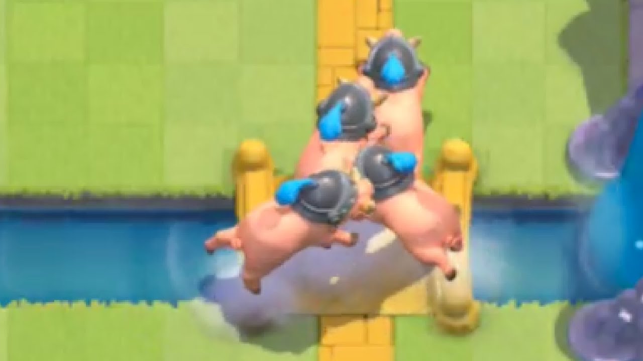 2.9 royal hog rampage