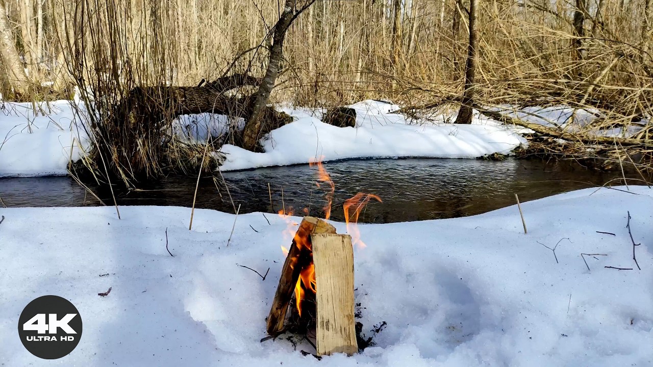 🌊 4K Campfire by a Forest Stream | 3 Hours of Crackling Fire & Water Sounds (No AI)