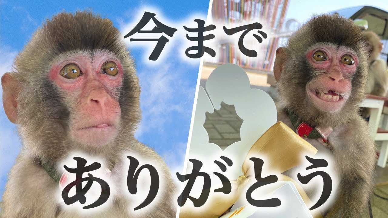 いままでありがとう