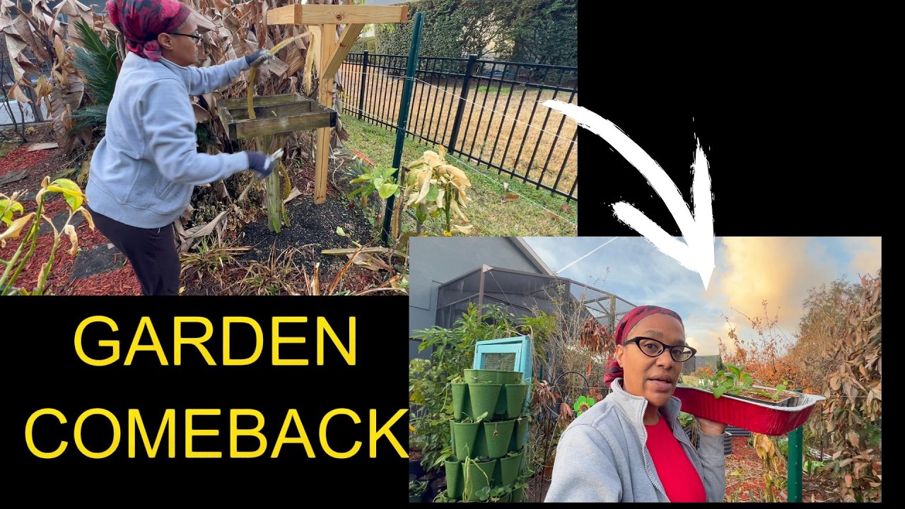 Vlog 2: Post  Freeze Recovery 🌴❄️ Recuperating the Food Forest Garden in Central Florida Zone 10a