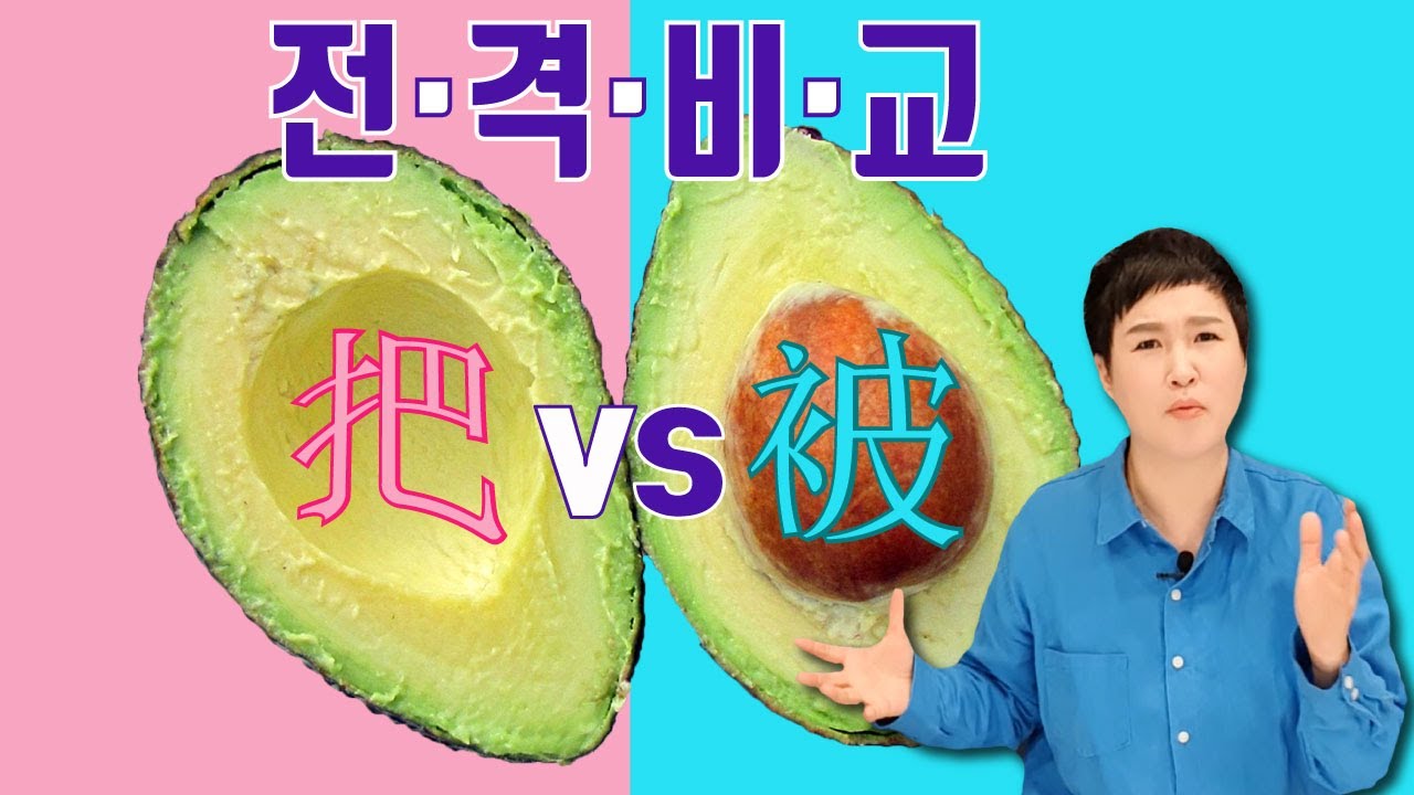 被자문 VS 把자문 확실히 비교해 드립니다.