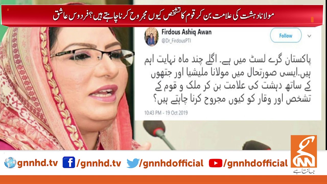 Firdous Ashiq Awan tweets as Pakistan escapes FATF blacklist | GNN | 20 Oct 2019