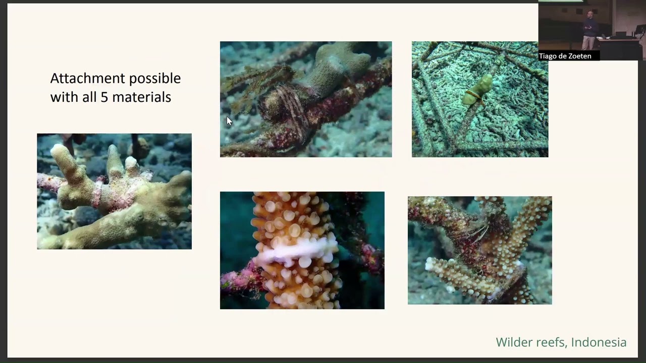 4. Tiago de Zoeten – Mossy Earth: Learning from funding tests of conservation actions