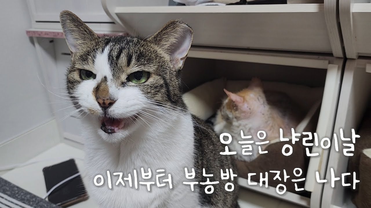 오늘부터 부농방 대장은 아재로 하자 (욤쭈굴)