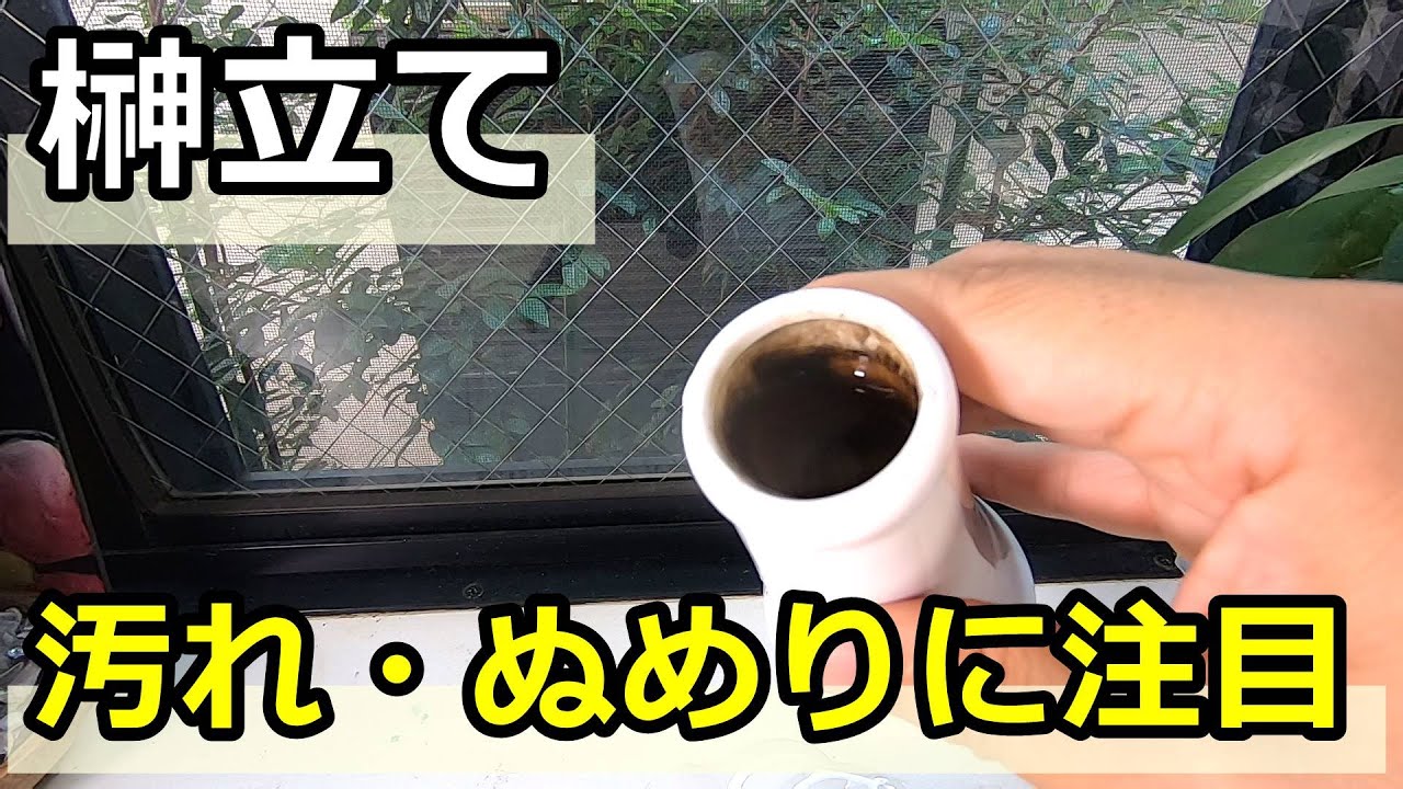 【神棚】榊立ての汚れ・ぬめりが意味するもの