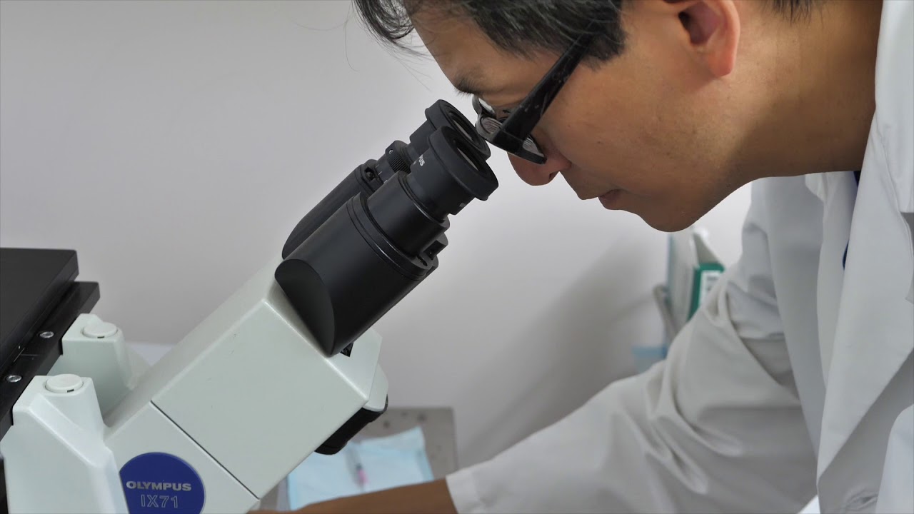 Meet The New York Fertility Center