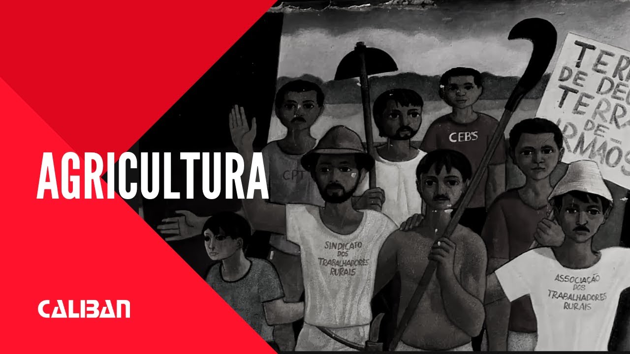 FILME | Agricultura Tamanho Família, 2014