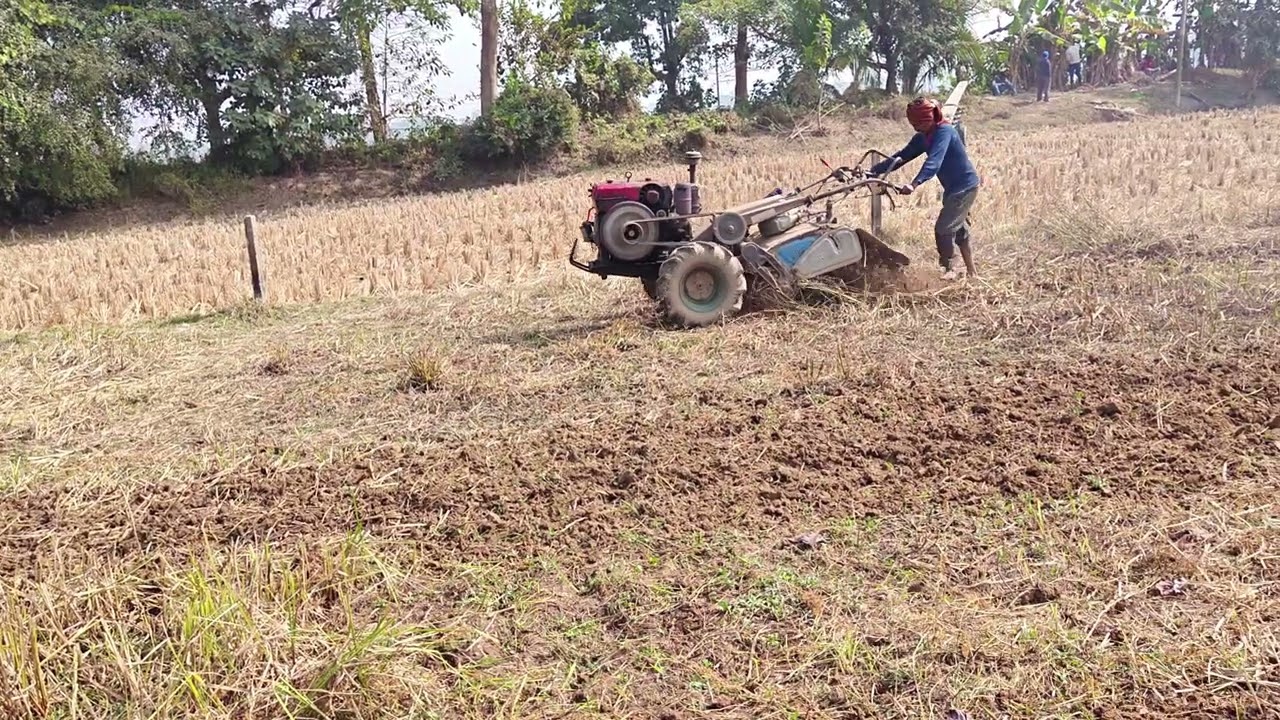মাঠে চাষ দিতে গিয়েছিলাম 