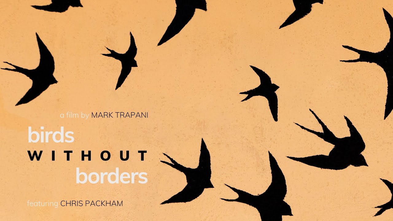 Birds Without Borders - The story of bird hunting in Malta