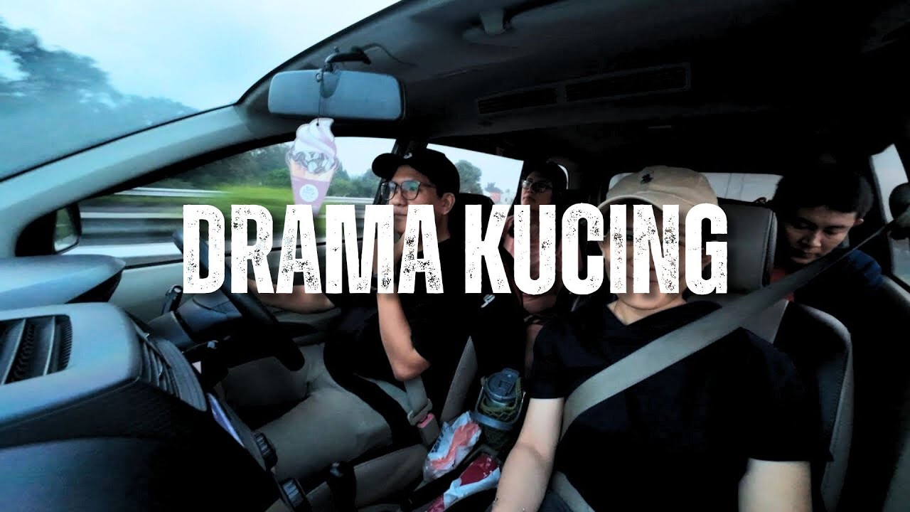 Drama Kucing dan Kerandoman Lainnya 😀