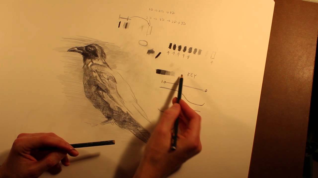 Create an Overall Feel with Keying - Useful Drawing Basics 2