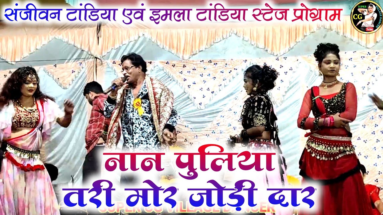 🥀नान पुलिया तरी मोर जोड़ी दार 🙏 | संजीवन टांडिया एवं इमला टांडिया | Cg Stege program | ग्राम निघौरी