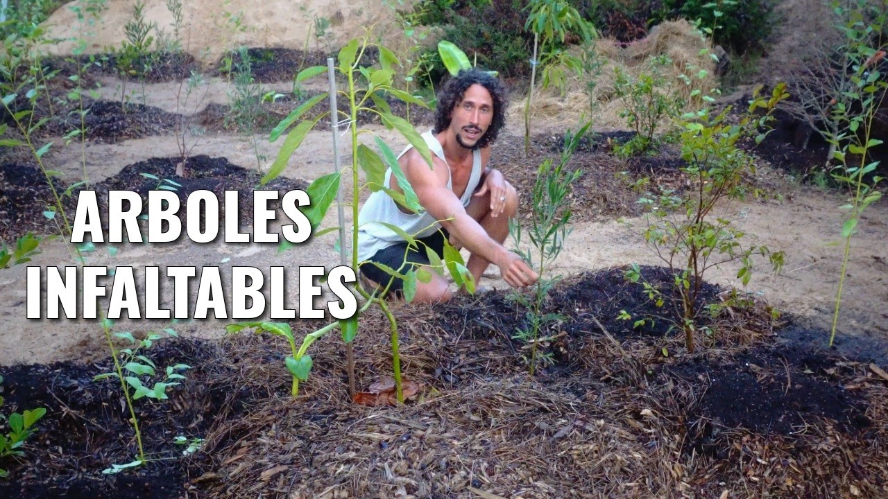 Árboles de Servicio: la Clave para Crear Bosques de Alimentos Abundantes