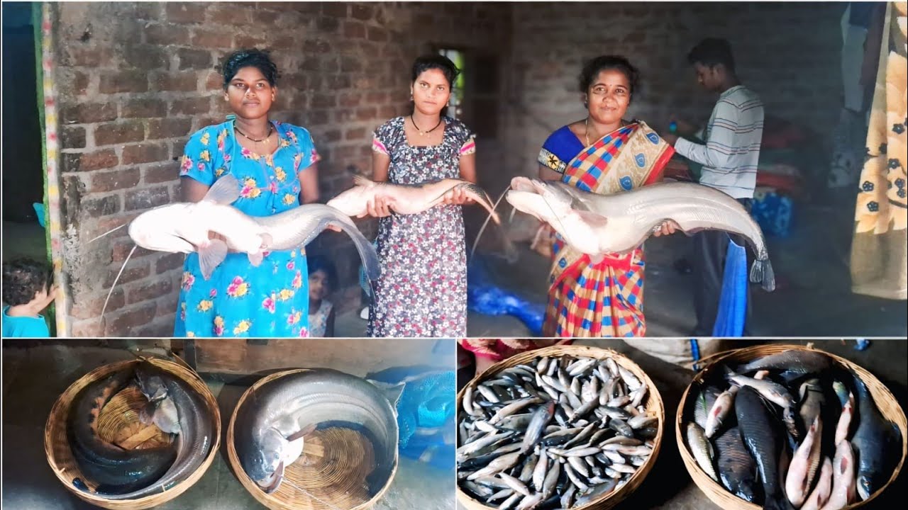 परत एकदा भरपूर🤗मासे सापडले घरी जाऊन माशांची रेसिपी🐠 दुसरा दिवस परत एकदा जबरदस्त मोठे🫢🫢मासे🐠
