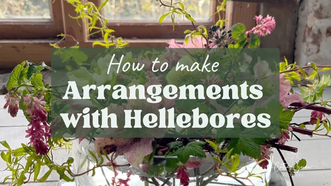 Floral Arranging with Hellebores: Two Seasonal Ideas