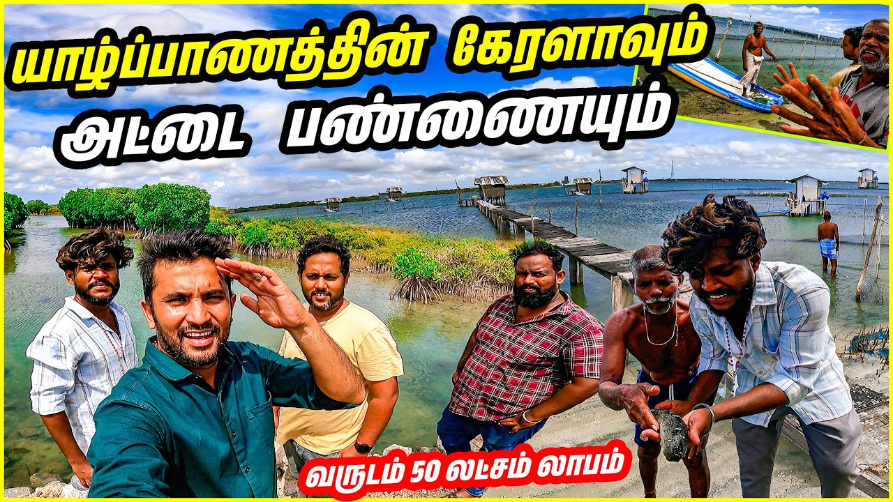 வர்த்தகத்தில் அசுர வளர்ச்சி அடையும் யாழ்ப்பாணம் | Jaffna is booming in trade | Lanka Boys