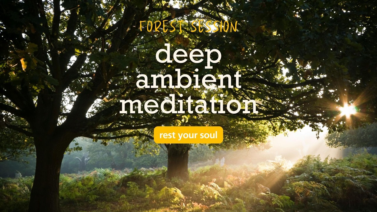 what you water will grow | 15min meditation session