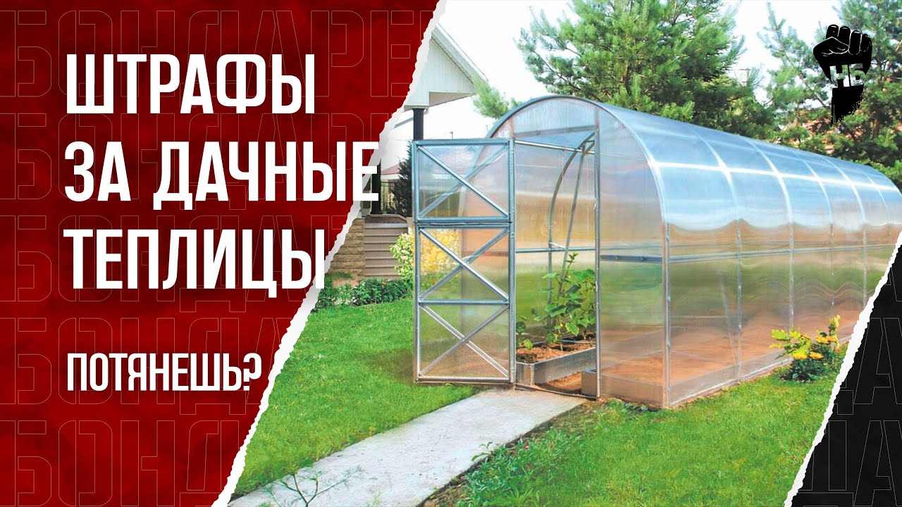 Новый штраф и налог! Народ будет платить по-полной