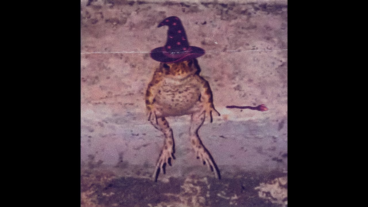 ☾𖤓 Psychedelic Black Metal 𖤓☽