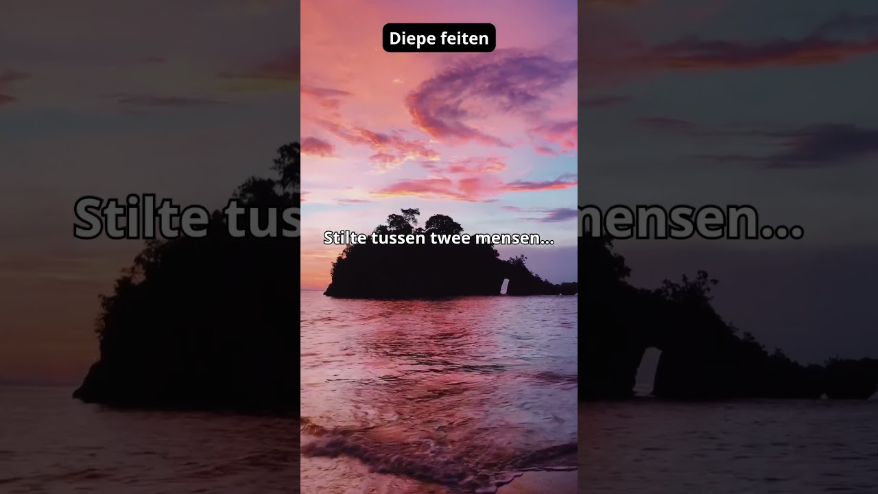 Feitjes