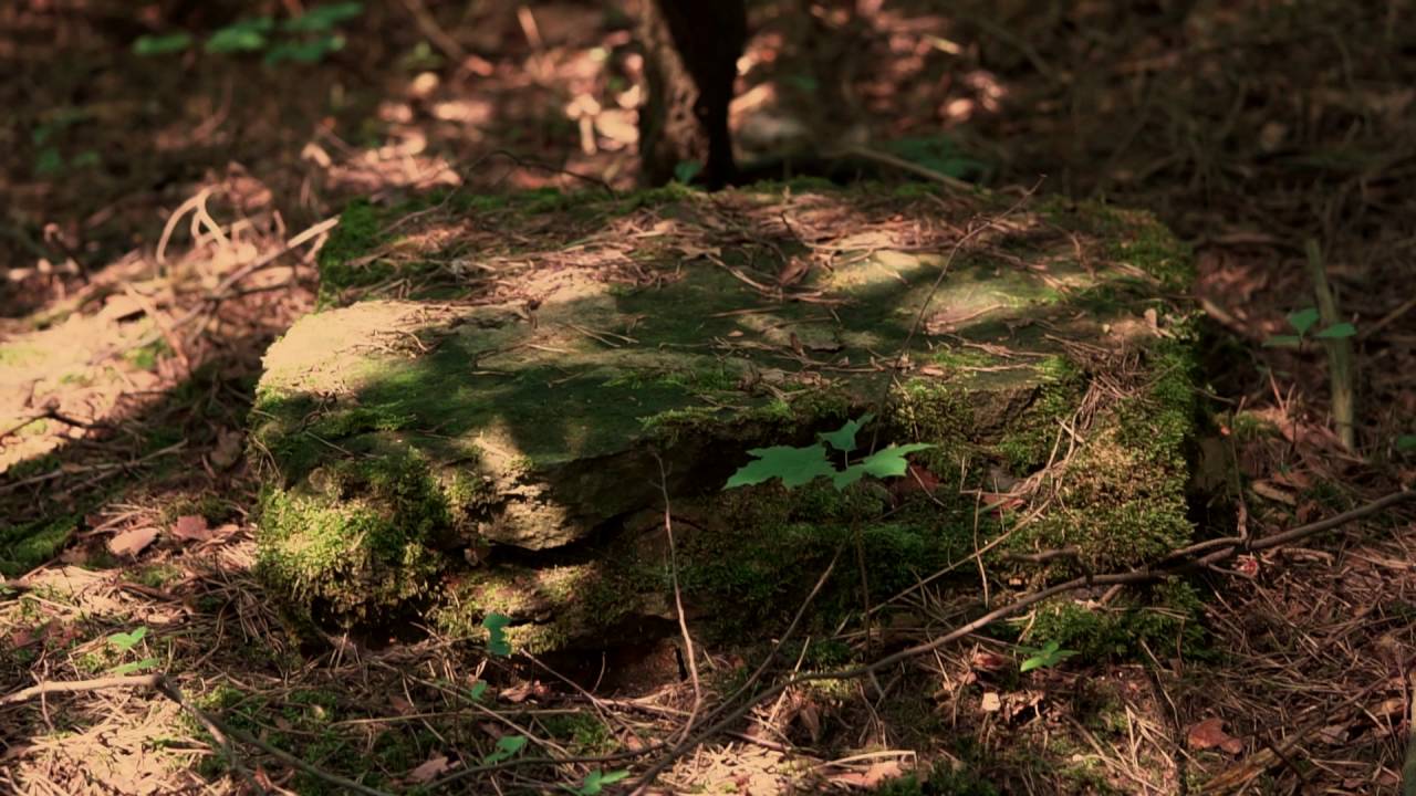 Ostrów Mazowiecka. Cmentarz żydowski