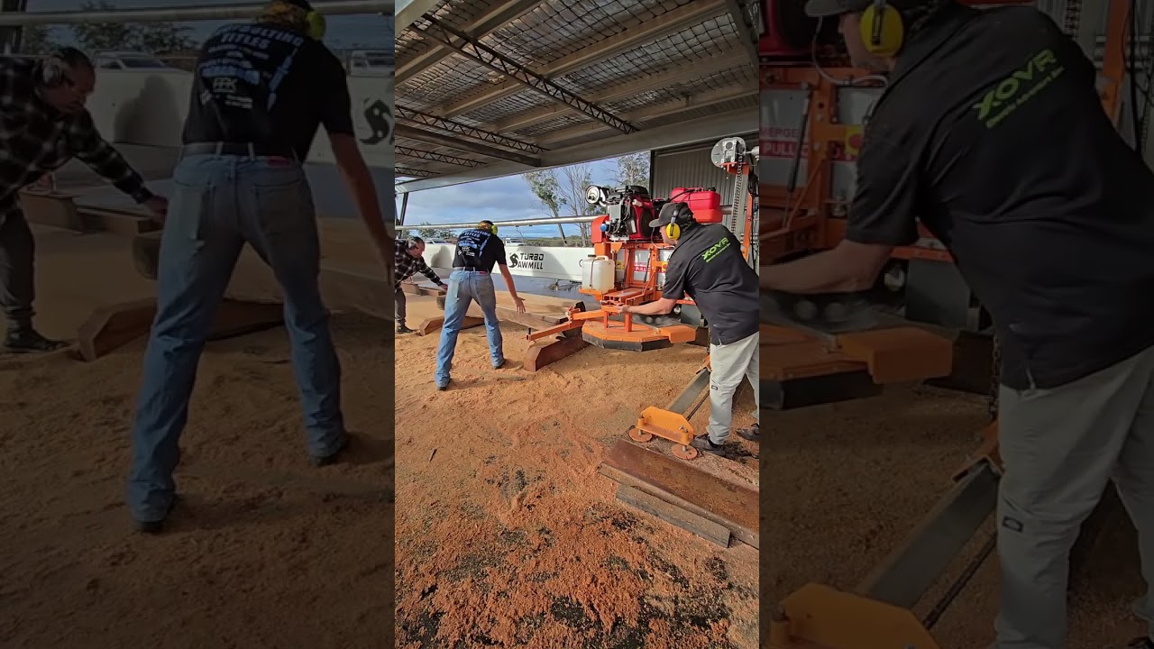 Sydney Yellow Box vs Turbosawmill