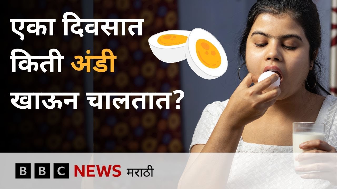 Eggs Diet : दिवसाला किती अंडी खाणं चांगलं? त्याने कोलेस्ट्रॉल वाढतं का? | BBC News Marathi