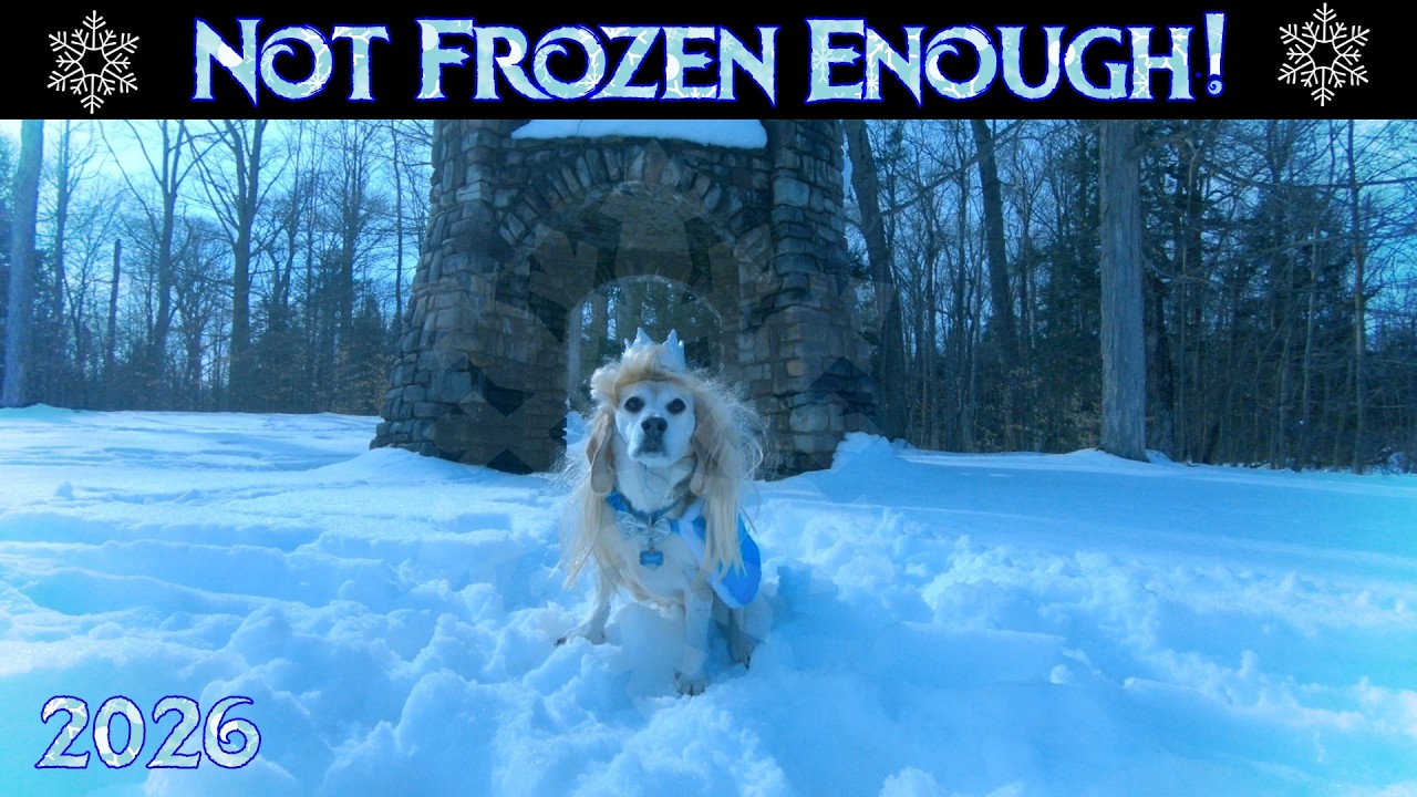 Not FROZEN Enough!