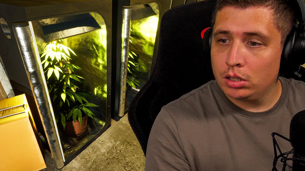 EZEK CSAK MUSKÁTLIK...!!!!🌿Drug Dealer Simulator 2 #1