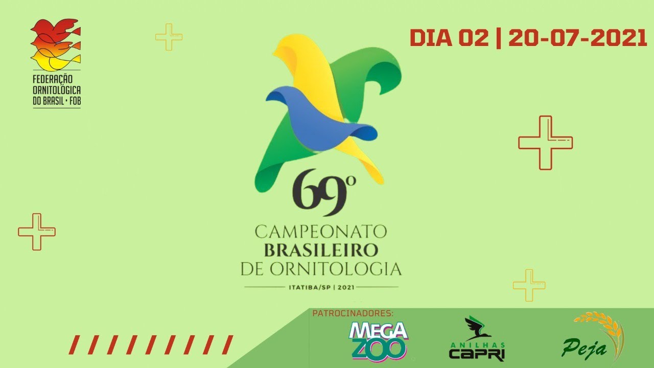 69° Campeonato Brasileiro de Ornitologia | FOB 2021 | DIA 2 |  (20/07/21)