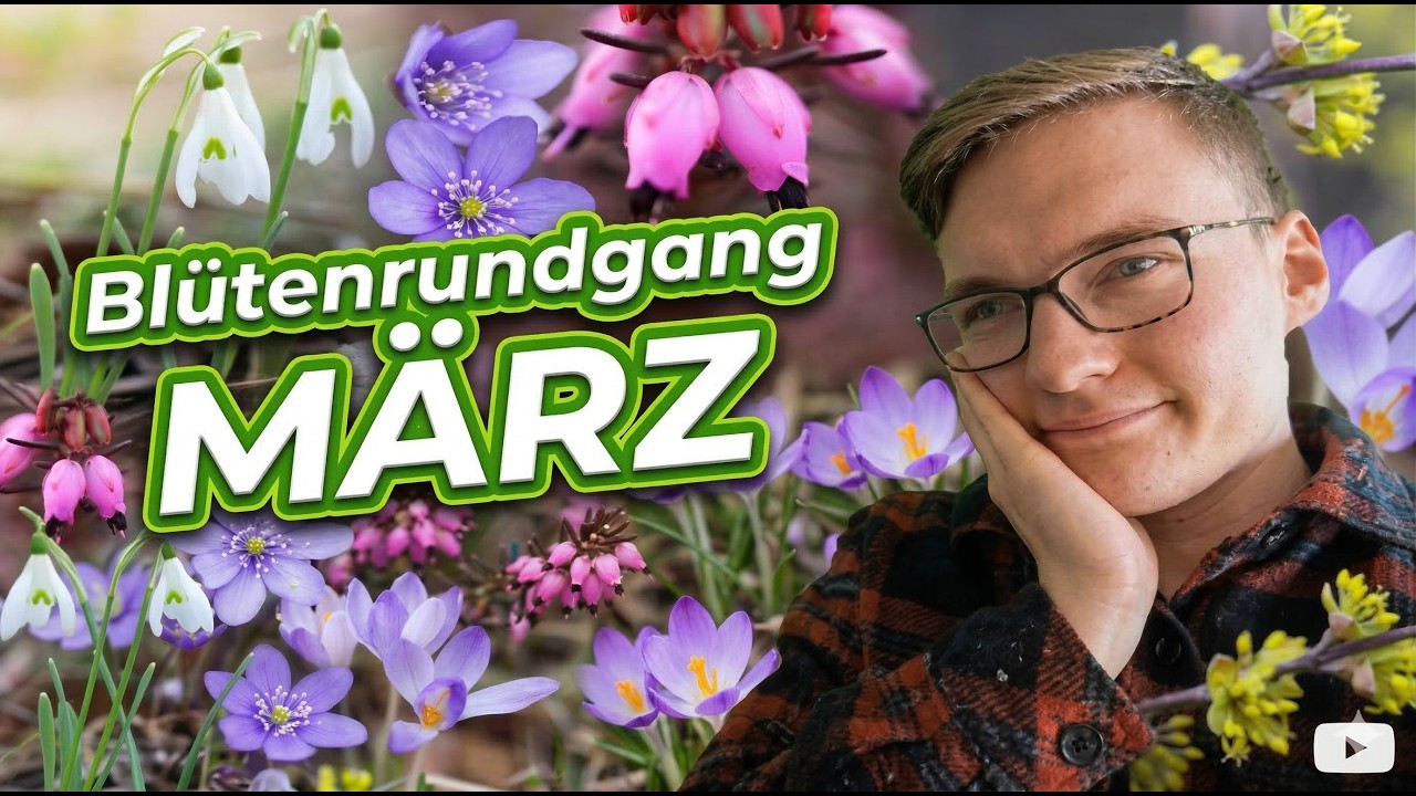 Bl&uuml;tenrundgang M&auml;rz 2026 I  Fr&uuml;hling, du bist ein geiler Bock!