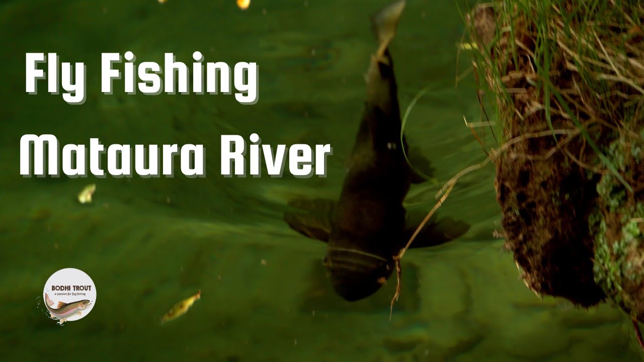 Fly Fishing the Mataura River New Zealand
