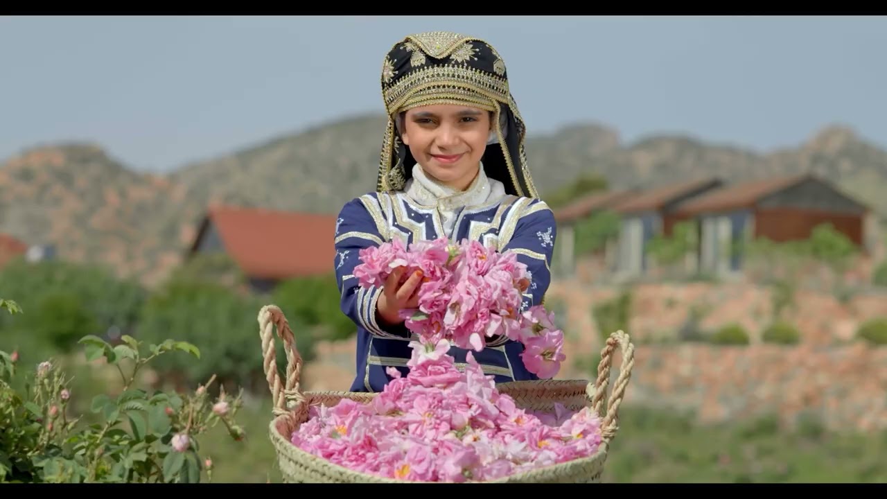 Cultural practices related to Taif roses