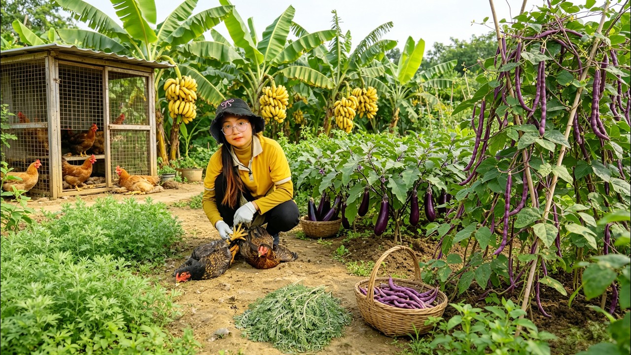 Harvest Chicken, Mugwort, Banana, Eggplant, Yardlong Beans To Sell And Cook Simple Meals &ndash; Garden