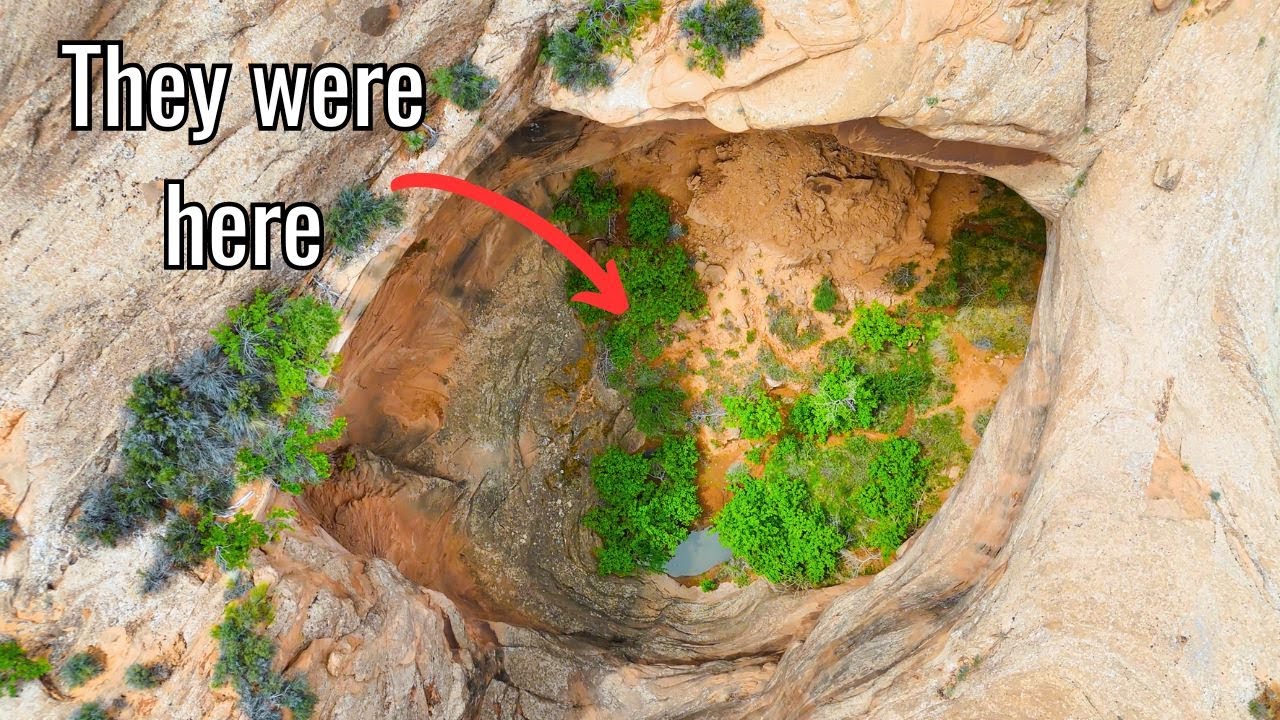 My Wife and I Found an Oasis Hiding Ancient Life