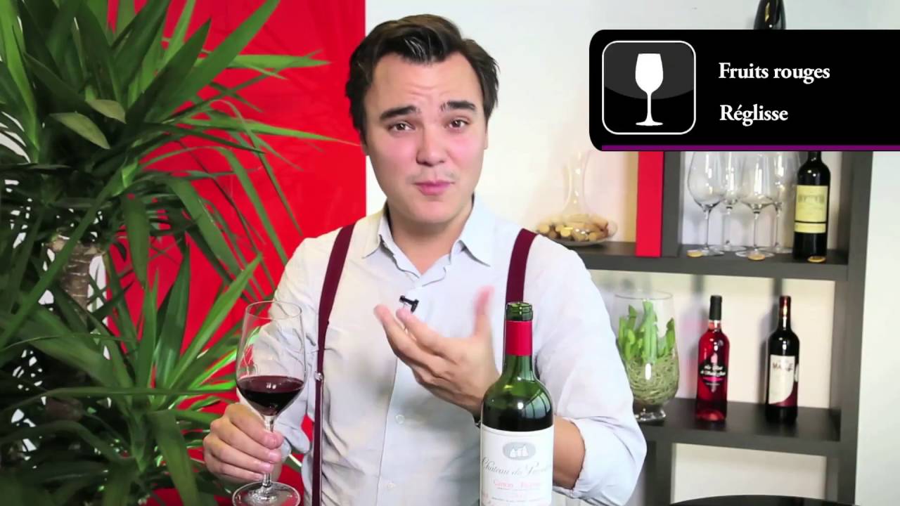 Les Vignobles Ponty - Ch&acirc;teau du Pavillon Canon Fronsac 2010
