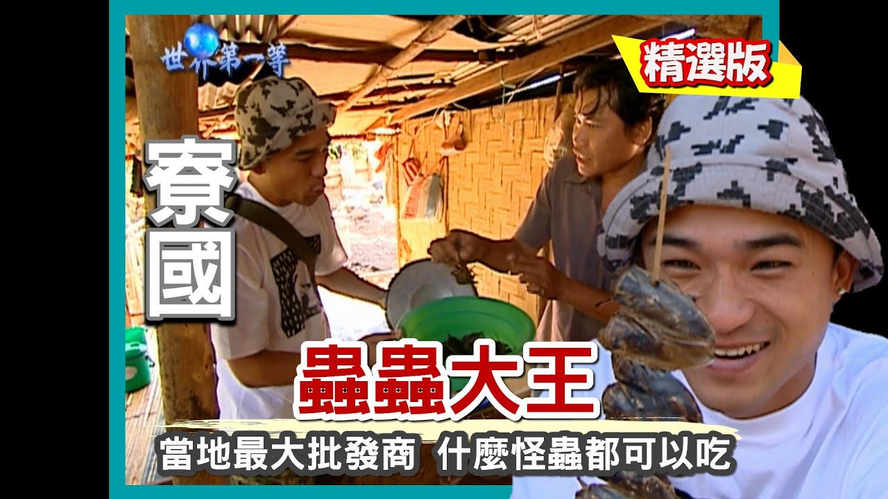 【寮國】中南半島蟲王-市場最大批發商 什麼怪蟲都能抓來吃！（生吃紅螞蟻蛋／爆炒鐵甲蟲／火烤田鱉）｜《世界第一等》84集小馬精華版