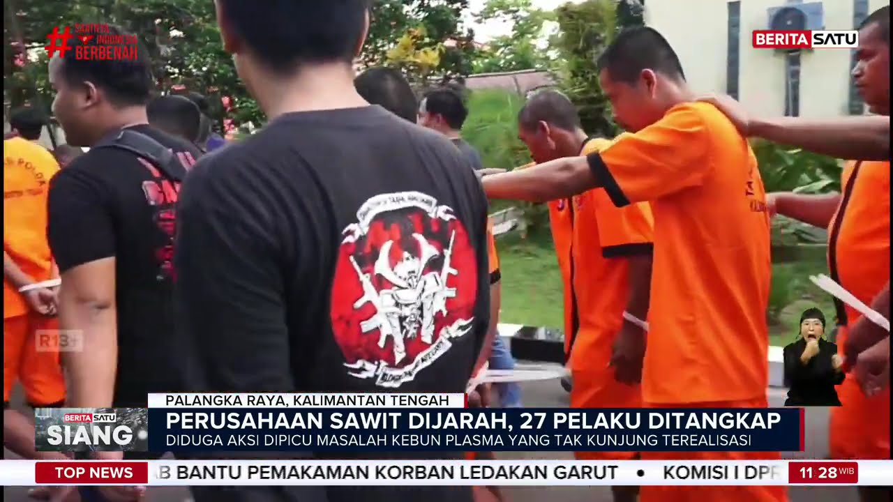 Penjarahan Buah Sawit di Seruyan Kalteng Makin Marak, 27 Pelaku Ditangkap | Beritasatu