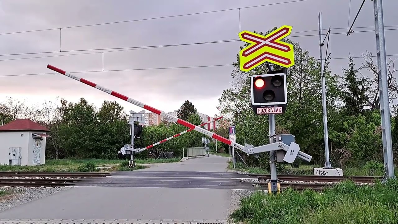 Železniční přejezd Brno-Bohunice + nové RegioPantery! (1.5. 2024 CLC)