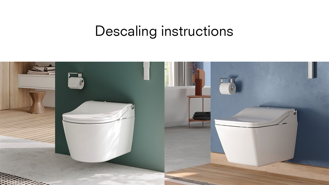 Instructions for descaling WASHLET RW and SW