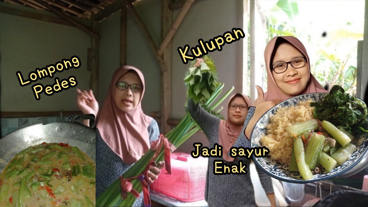 Awas kalau nggak bisa ngolah bisa gatal‼️Dimakan dengan nasi ampok+kulupan mantap❗