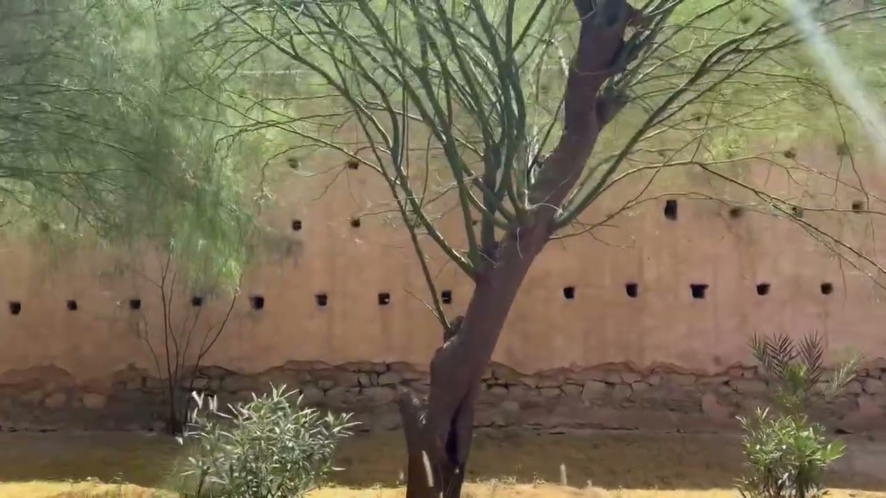 Marrakech Series | Episode 11 (Downtown)